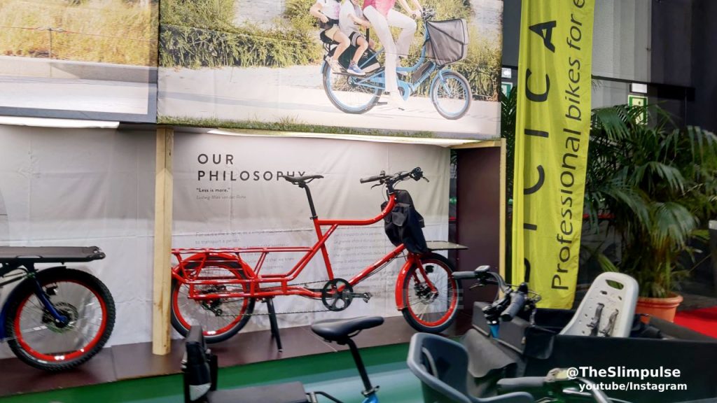 New longtails from Bicicapace