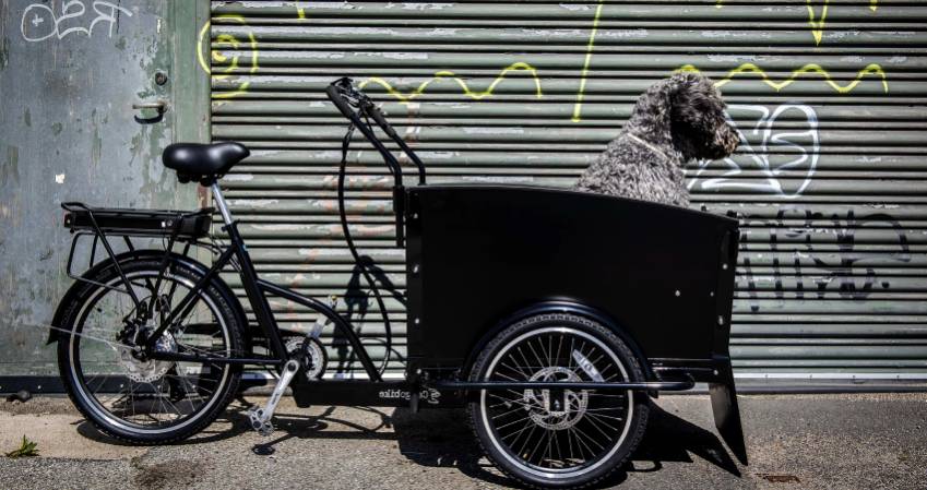 Cargo bike for dogs