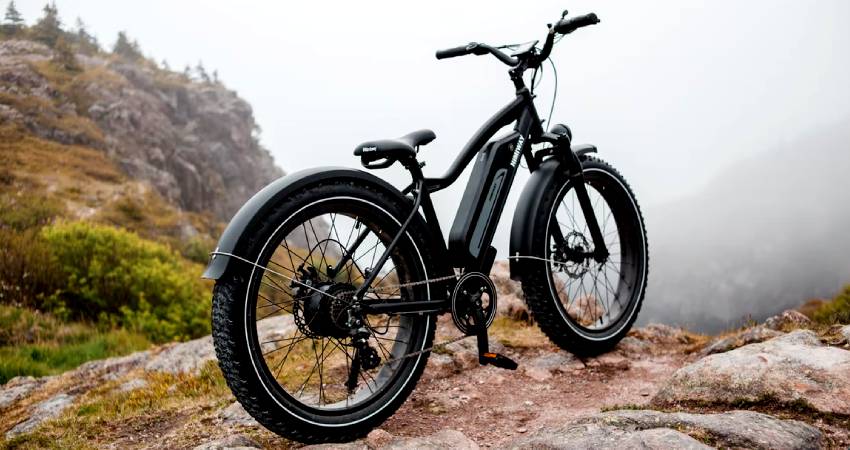 Electric fat bike with strong battery