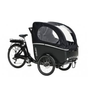 Safe electric Winther cargo bike on three wheels for transporting children