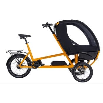 Three-wheeler electric bike for transporting children