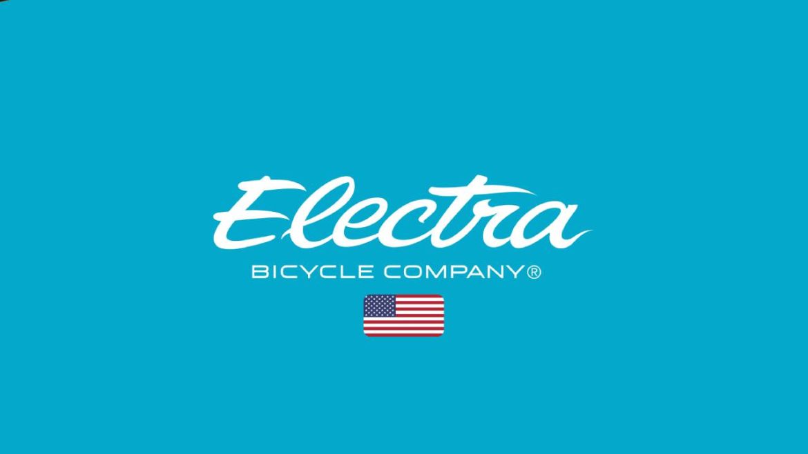 Electric electric bicycles