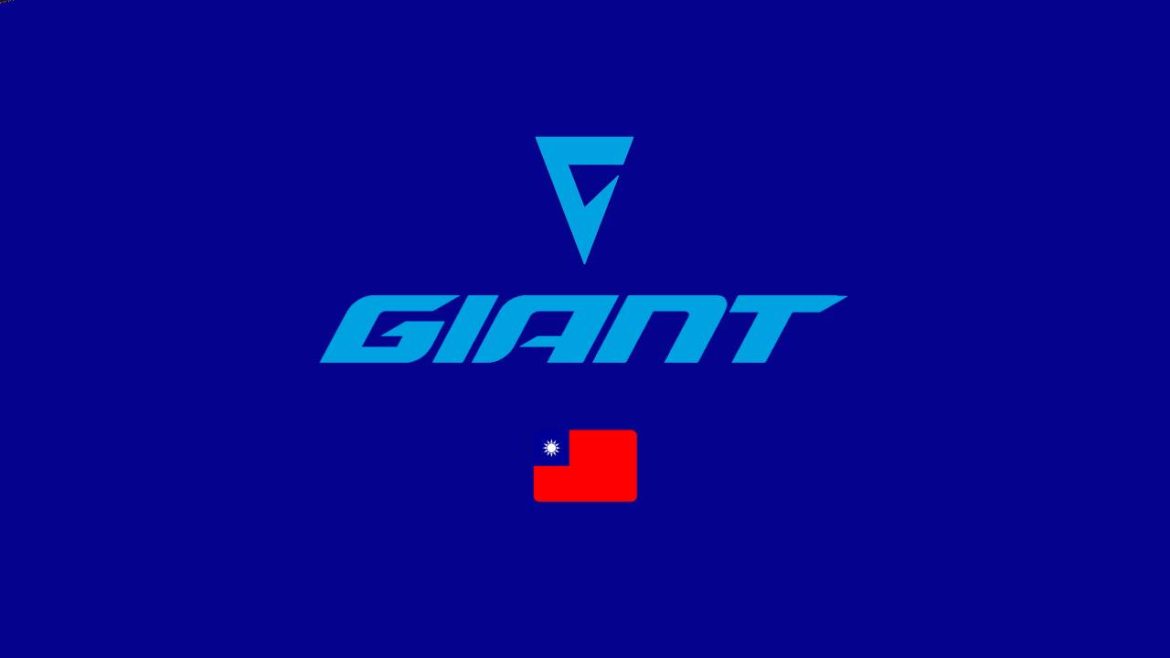 giant electric bikes